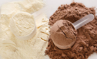 Unveiling the Truth About Protein Powders: Sacha Inchi, the Hero We Need