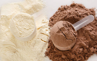 Unveiling the Truth About Protein Powders: Sacha Inchi, the Hero We Need